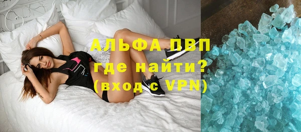 сатива Алзамай