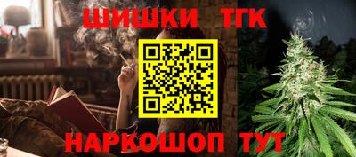 шишки Лесосибирск