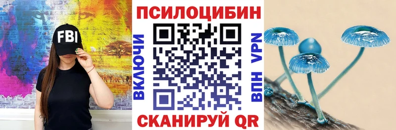 Псилоцибиновые грибы Psilocybine cubensis  Калач-на-Дону 